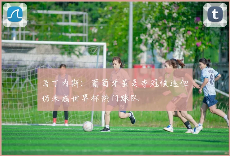 马丁内斯：葡萄牙虽是夺冠候选但仍未成世界杯热门球队