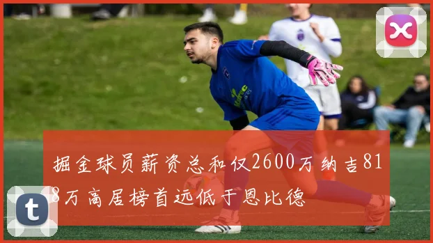 掘金球员薪资总和仅2600万纳吉818万高居榜首远低于恩比德